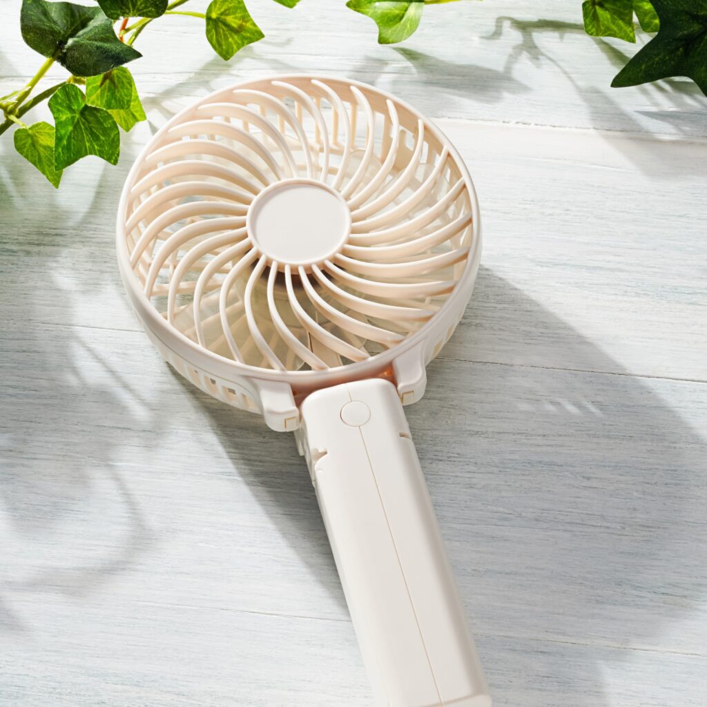 handheld fan with green leaves